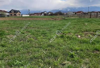 Teren de 1400 mp, în Avrig - 3