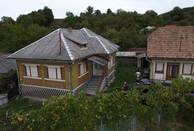 Casă individuală cu 4 camere cu Teren 2000 Mp în Buciumi - 7