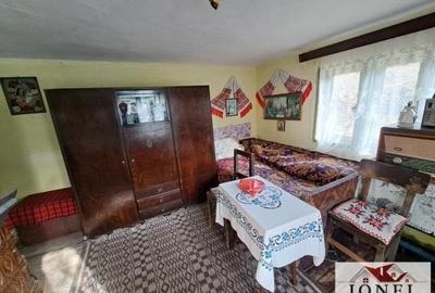 Casa cu 20000 mp de teren de vanzare in Zlatna - 5