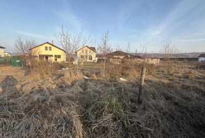 Teren Construcții intravilan de 480 mp, în Partoș - 2