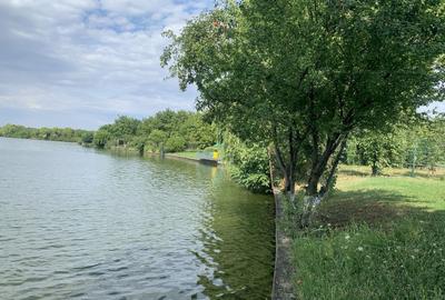 Teren Construcții intravilan de 5963 mp, în Dămăroaia - 1