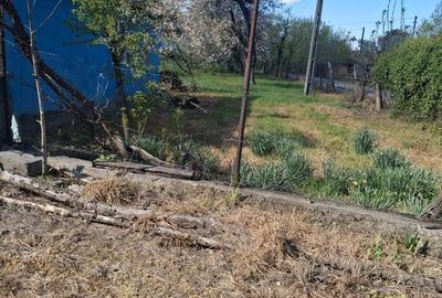 Casă cu 3 camere în Borod - 6