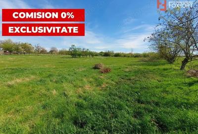 Comision 0% Teren intravilan 3000 mp in Padureni Jebel - 5