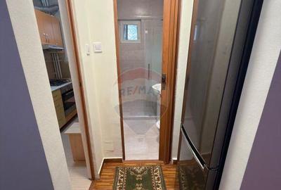 Garsoniera de inchiriat in zona Pantelimon - 2