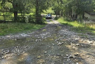 Teren agricol intravilan de 2500 mp, în Valea Doftanei - 12