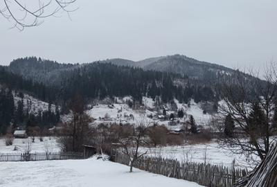 Teren Construcții intravilan de 600 mp, în Neagra - 3