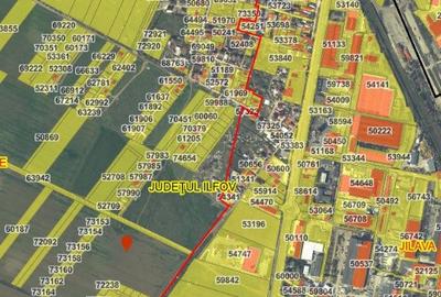 Teren intravilan neimprejmuit CF 74818, 4451mp - 9