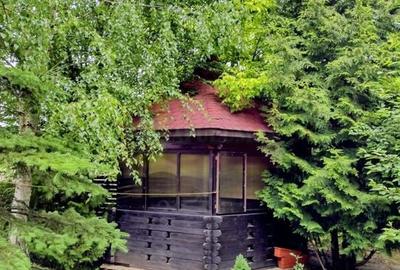 Vila de vanzare in Brebu - Zona Brebu Manastirei - 25