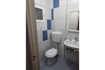 Apartament cu 3 camere decomandat, mobilat în Gorjului - 13