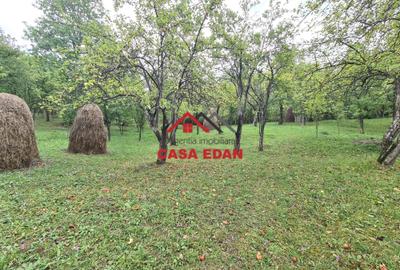 Teren intravilan in Sotrile--5991mp--10e Teren intravilan in Sotrile--5991mp--10e - 8