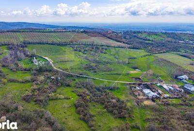 Teren de 33500 mp, în Bucov - 14