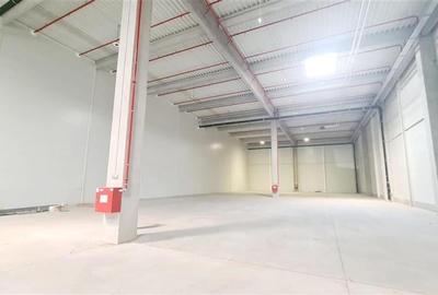 Spatiu industial 1700 mp , Timisoara exterior NORD - 10