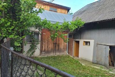 Casă cu 6 camere cu Teren 10000 Mp în Soloneț - 1