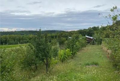 Casă cu 2 camere cu Teren 2889 Mp în Hidiș
