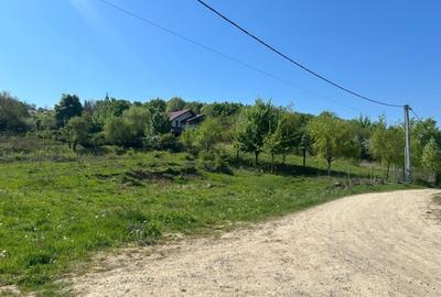 Teren agricol intravilan de 650 mp, în Central - 3