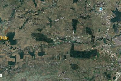 Spațiu comercial, în Răcari - 4