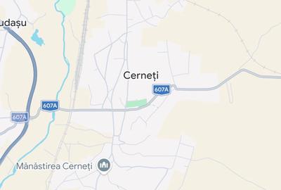 Spațiu comercial, în Cerneți - 1