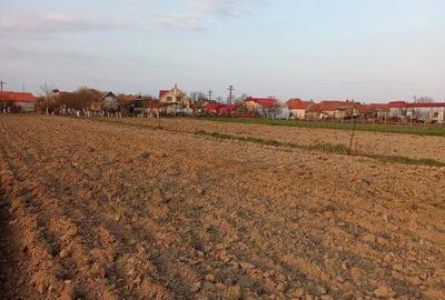 Teren de 2600 mp, în Sânmartin - 2