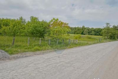 Casă cu 4 camere cu Teren 752 Mp în Racoș - 1