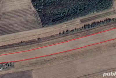 Teren de 11000 mp, în Lăceni - 2