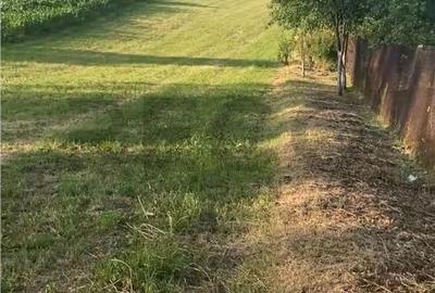 Casă cu 2 camere cu Teren 5800 Mp în Central - 6