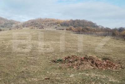 Teren de 3360 mp, în Aninoasa - 3
