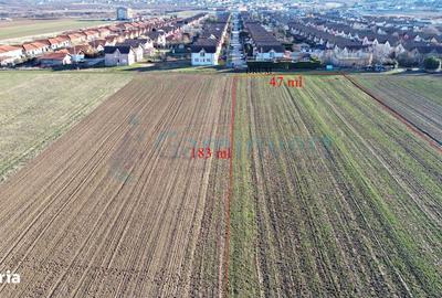 Spațiu comercial, în Paleu - 3