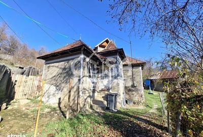Casă cu 9 camere cu Teren 1036 Mp în Vârfuri - 10