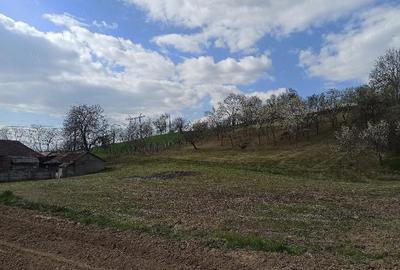 Casă cu Teren 4000 Mp în Arduzel - 4