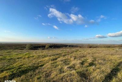 Spațiu comercial, în Rasova - 1