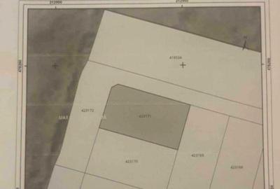 Spațiu comercial, în Moșnița Nouă - 5