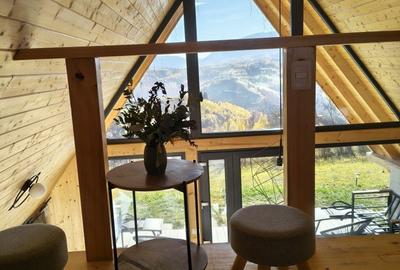 Casă cu 2 camere cu Teren 10000 Mp în Paltin - 3