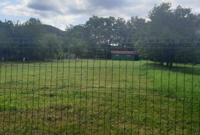 Spațiu comercial, în Lunca Mare - 8