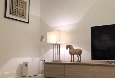 Str Belgrad, Capitale, Ap. tip duplex, 221mp: 122mp Hochparterre + 99mp Demisol - 3