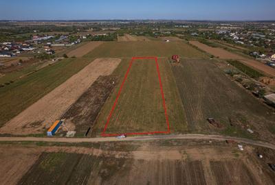 Teren Construcții intravilan de 6525 mp, în Adunații-Copăceni - 2