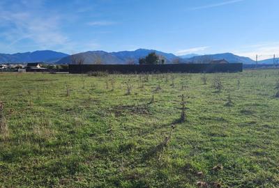 Teren superb de 533mp construibil zona perfecta Brasov - 2