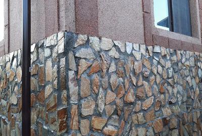 Casă cu Teren 2665 Mp în Central