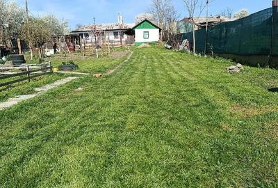 Casă cu Teren 600 Mp în Independența - 4