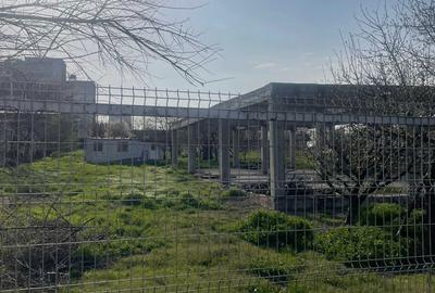 Spațiu comercial, în Lumina - 1