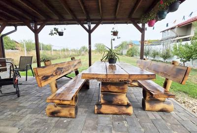 Vila eleganta-smart, arhitectura rafinata, in Cernica - 22