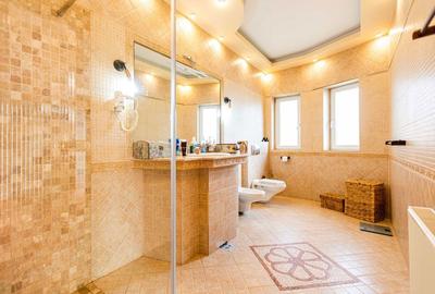 Casă cu 4 camere în Dumbrăvița - 3