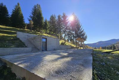 Spațiu comercial, în Borca - 3