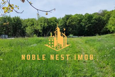 Teren extravilan 2200 mp - Budeasa Mica, Arge?, COMISION 0. - 2