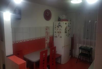 Apartament doua camere, renovat, la Narcisa - 10