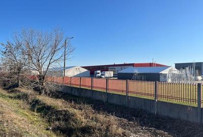 Teren intravilan, Săcădat, 27 921 mp. 9,5 Euro/mp. Comision 0. Teren intravilan, Săcădat, 27 921 mp. 9,5 Euro/mp. Comision 0. - 2