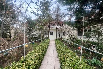 Negru Voda casa cu teren de 1200 mp, constructie 2008 - 19