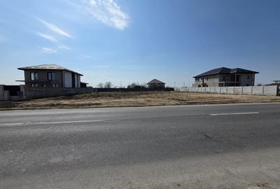 Teren în Cernica - 8