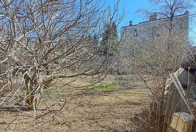 Spațiu comercial, în Muncii - 5