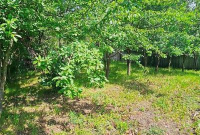 Proprietate com.Bodesti, casa + anexe + teren 7481 mp - 22