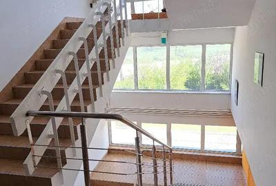 Hale, depozite si birouri - 7